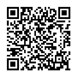 传承之墙附近仅仅剩下了杨风和那小男孩的虚影二维码生成