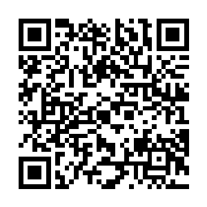 传授他们一些必修的基础武技和他们感兴趣的一些技能二维码生成