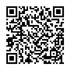 传来的讯息随后也将这纯粹的喜悦与悲伤打断了二维码生成