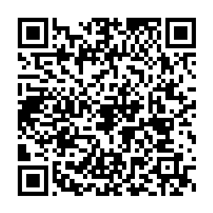 传言前来七星坊做客观礼的沈兴在这位太上长老面前不敢有半点逾越二维码生成