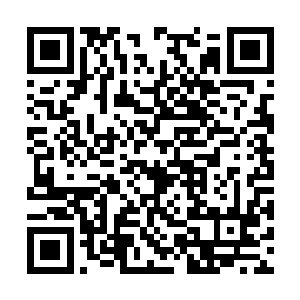 传说中凡是持有天机令的人都会受到天机阁的庇护二维码生成