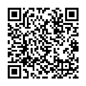传说中凶焰滔天的金翅大鹏鸟实际上是个通情达理二维码生成
