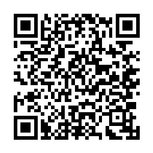 传说中在紫玉谷核心之地有一只超越了九重天境界的妖兽二维码生成
