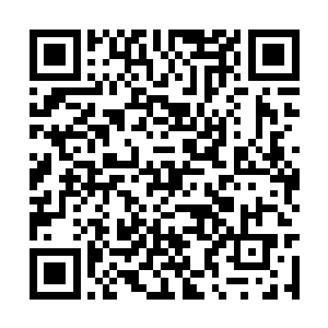 传说是只有天地最灵气鼎盛的地方才能诞生妖罗种二维码生成