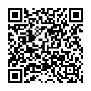 传送仍在继续我们不能让来自盘古宇宙的一星半点信息二维码生成