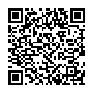 传送到晶铠周身的每一座动力符阵和战斗单元中二维码生成