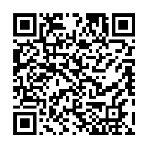 传送阵只能传送育婴期对于炎阳修者而言其实是一件好事二维码生成