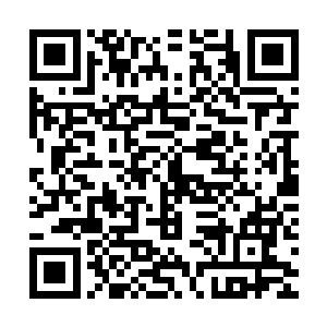 传闻中一些灵力强大的天材地宝在成熟之后便会产生自己的灵智二维码生成
