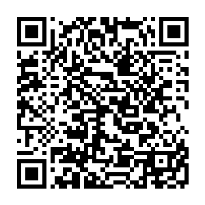 传闻在数代以前是为了逃避血族之间的战争所以躲避到这个偏院的福克镇上二维码生成