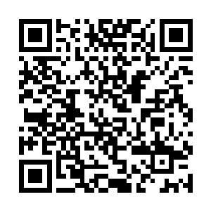 传闻这长青神树的树洞可是连巫王巫圣都无法擅闯的二维码生成