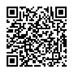 伤员十个当中估计都有五六个人是要大骂干你娘的二维码生成