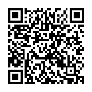 伤春悲秋就是你们这些无聊的人突然出现的一种莫名其妙的感情二维码生成