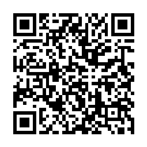 伦敦人在高岗上的队列依然如海浪中的岩石一般屹立二维码生成