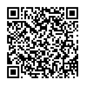 伪界和幽冥域瞬间将中间本来空出来让飞火蚁和白衣青年大战的空白淹没二维码生成