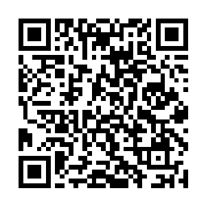 伫立在归墟城广场上的归墟之主看着我和启天的动作二维码生成