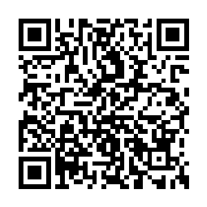 伯利兹政府也乐得看到一个能和洪涛捣乱的组织二维码生成