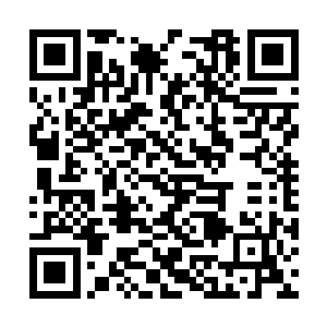 伯牙之前答应的五十万大军也在一夜之间准备就绪二维码生成