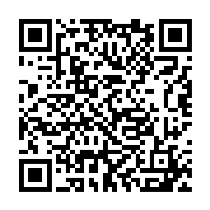 伯纳德一行八人也找了处隐秘且视野良好的地方休息二维码生成