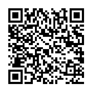 伯颜急忙一手抓起了江天水紧跟在了许紫烟的身后二维码生成