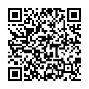 估摸着应该跟他在电梯里遇见的那个小男孩差不多大二维码生成