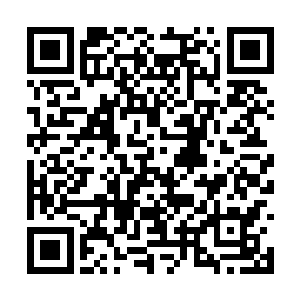 估摸着我必须回到之前大门不出二门不迈的情况了二维码生成