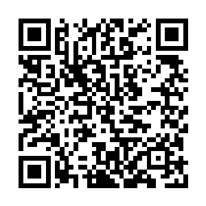 估摸着第二天早上将军府的人才会发现骏马逃离二维码生成