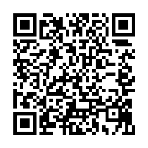 估计下次见面的时候他就应该是龙族的驸马爷了二维码生成