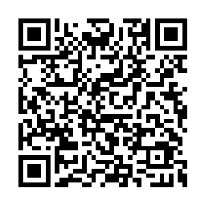 估计不是在九楼彩薇影视公司就是在四楼实验室二维码生成