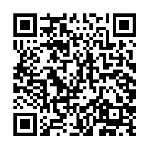 估计不是罗威罗成这对兄弟就是涂厚忠这个阴险之人二维码生成