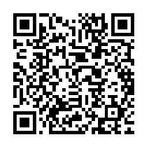 估计也反应过来了……乌家主动拿下了江宁一带所有的岁布份额二维码生成