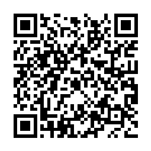 估计也就勉强和九劫真神初阶中期左右的强者抗衡二维码生成