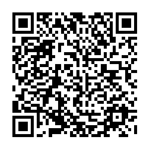 估计也就眼前这位可以这么豪爽的随口就说赠送玻璃种的帝王绿翡翠手镯了二维码生成