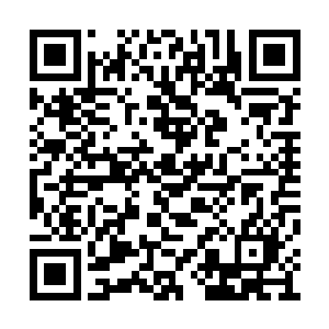 估计也是忍不住跑到里面来陪着太子殿下取乐了二维码生成