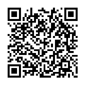 估计他的尸体也已经被那只灵级苍臂巨猿给吞了二维码生成