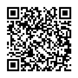 估计到时候早早的就会排除圣骑在机场等候着小龙二维码生成