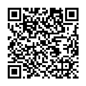 估计到时候那些家伙拼了命的都想查清楚自己的身份二维码生成