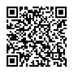 估计吃了这么美味的东西也觉得应该拼死效命才对得起了二维码生成