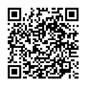 估计因为是大部分秘社人员被疯马和叶莲娜堵在了走廊通道内二维码生成