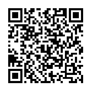 估计在很长一段时间是不能随意的离开白骨道宫了二维码生成