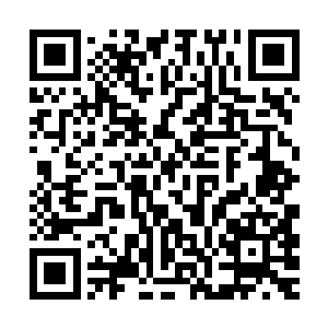 估计在那些后来者靠近深坑的时候就会迫不及待的助人一臂之力二维码生成