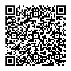 估计大半年下来没有你们现在赚的这么多但是赚个十几二十万的养老钱还是没什么问题的二维码生成