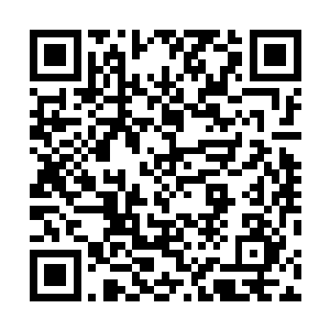 估计大部分的修真者都被这天凰书院的烟火给吸引过去了二维码生成
