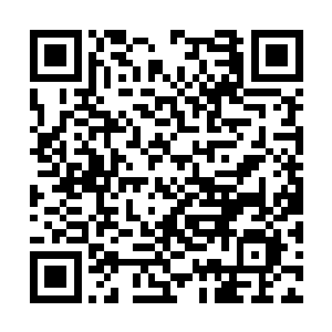 估计她要费点神安抚这个为她担惊受怕的小姑娘了二维码生成