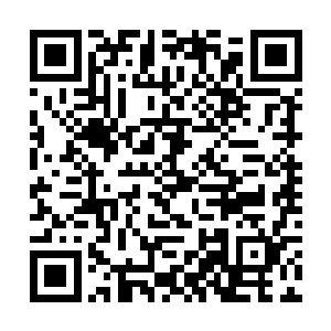 估计少正豪死都没想到自己会成为别人暗杀的对象吧二维码生成