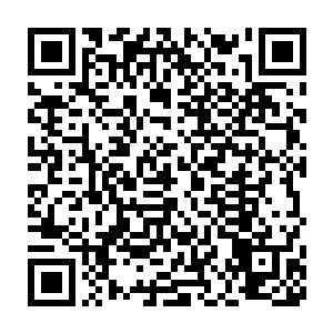 估计整个伪仙界当中的所有仙玉还有其他宝贝就全都变成麒麟的了二维码生成