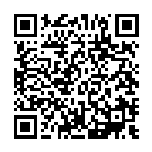 估计是他们想以实际行动来改变这里鲸鱼对日本人的看法吧二维码生成
