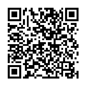 估计是又想起了自己把那一整个人头都吃了事情的二维码生成