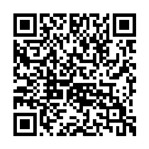 估计是在交代接下来诗歌沙龙要走的一些程序吧二维码生成
