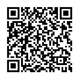 估计有个半年左右的时间就会散发在苍茫大陆上二维码生成