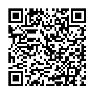 估计林琳那傻丫头能在客厅沙发上睡一晚上~现在晚上气温低了二维码生成